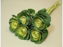 Flowering Kale main image